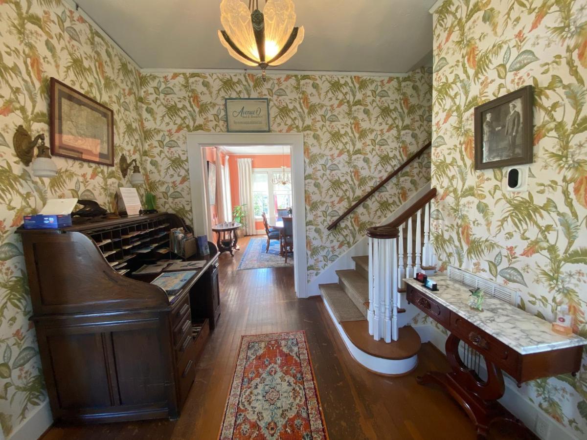Avenue O Bed And Breakfast Galveston Bagian luar foto