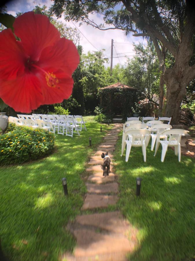 Avenue O Bed And Breakfast Galveston Bagian luar foto